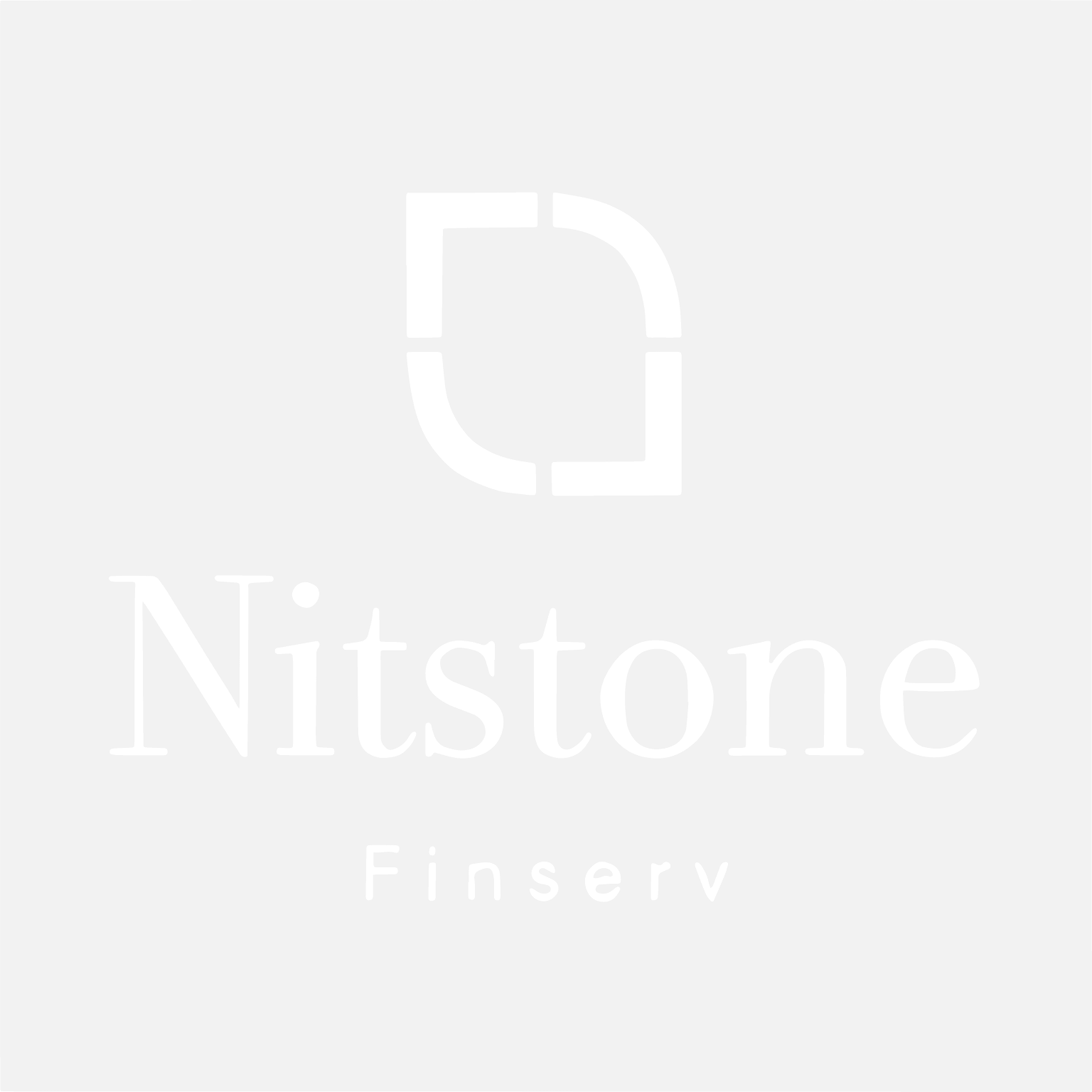 Nitstone Finserv Logo White