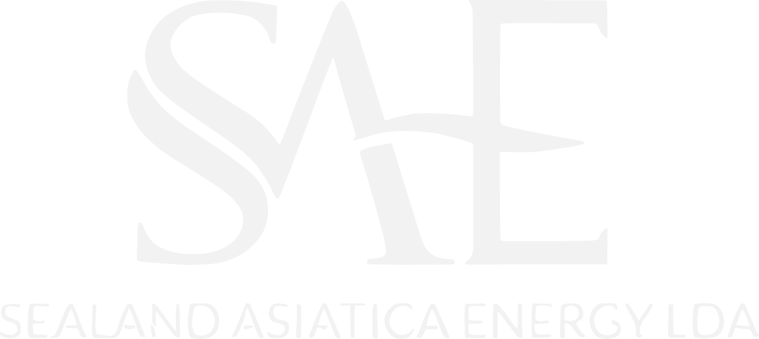 SAE Logo White