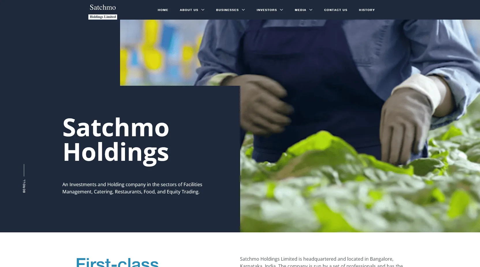 Satchmo Holdings Limited Home