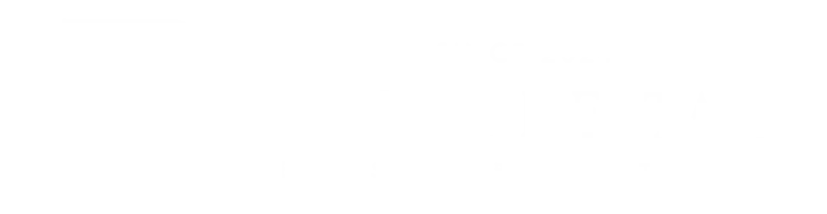 BespokeTax_whitelogo