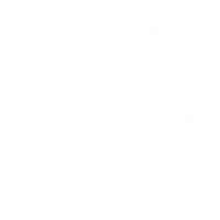 ModernVet_whitelogo